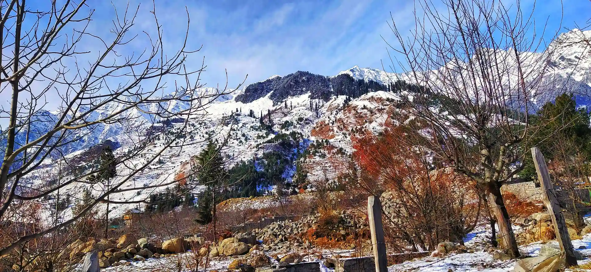 Magnificent Shimla Manali Tour